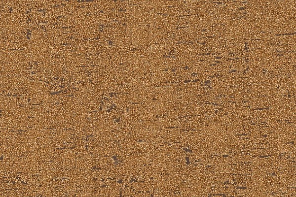 SW4272 - SW4273